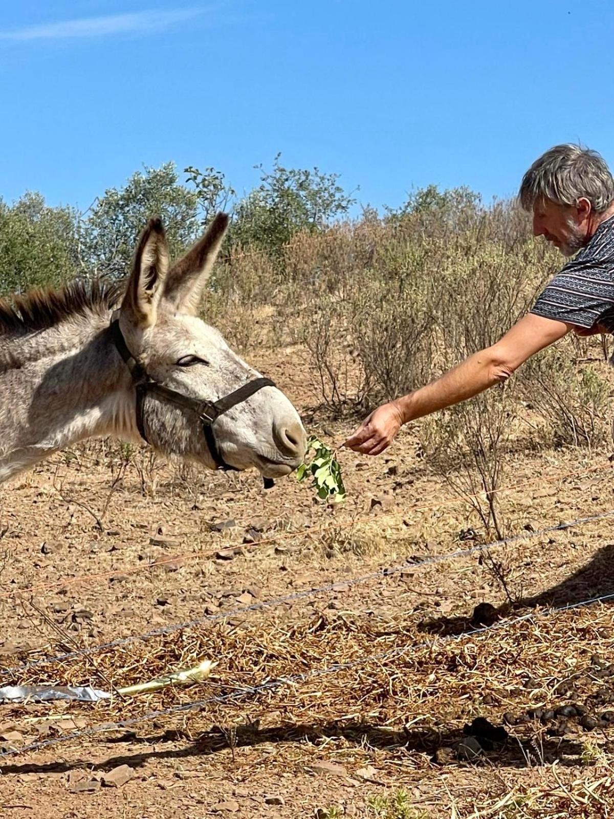 Monte Do Malhao - Art, Eco & Spa Castro Marim Dış mekan fotoğraf